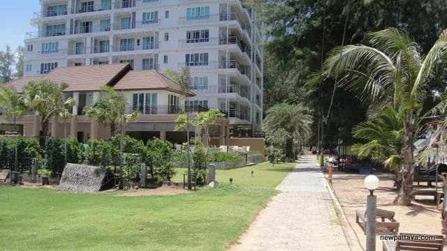 ไพน์ ชอร์ส main view