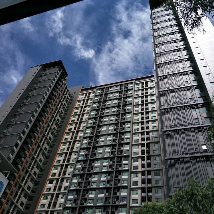 ไลฟ์ อโศก main view