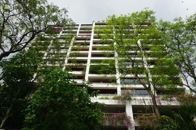 โปโล พาร์ค main view