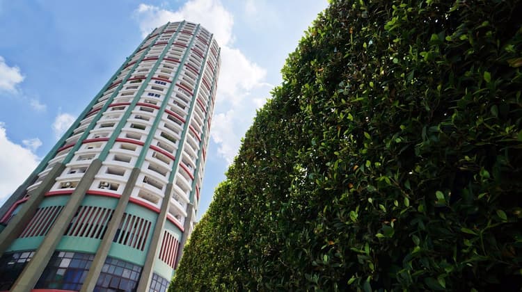 ฟิฟตี้ ฟิฟท์ ทาวเวอร์ main view