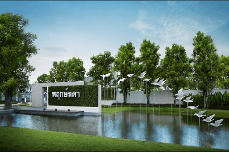 āļāļĪāļāļĐāđāļĨāļāļē-āļāļēāļāļāđāļ main view