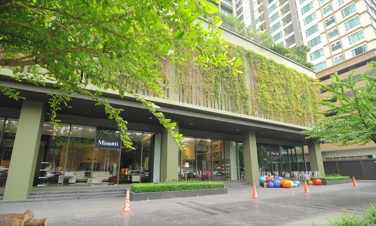 โนเบิล โซโล main view