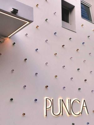 ชื่อโครงการ ภูนิการ์