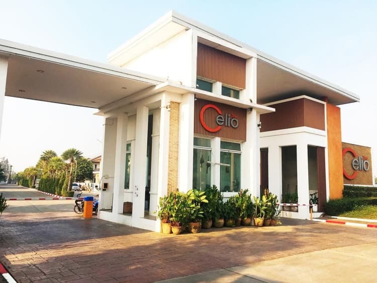 เดอะ เซลิโอ main view