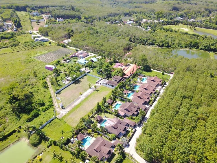 ออคิด เลน มิชชั่น ฮิลล์ main view