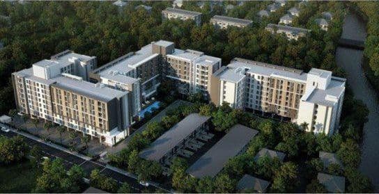 แอมฟายน์ บางนา main view