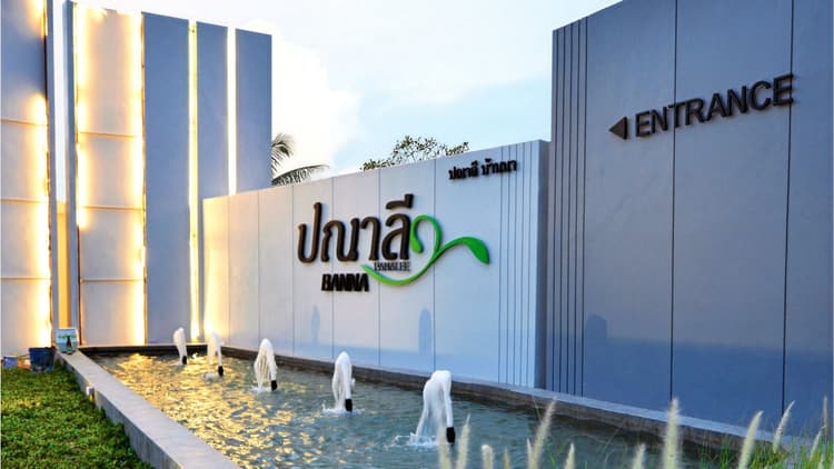 ปณาลี 1 main view