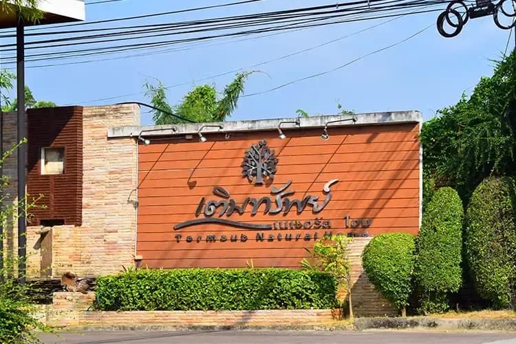 Termsub Natural Home main view