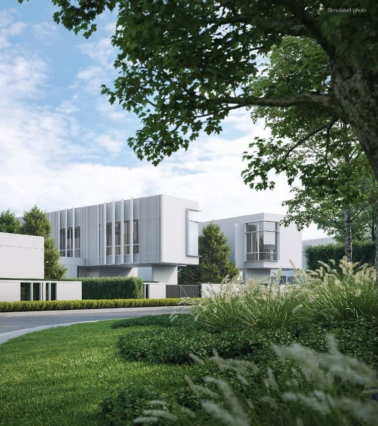 VIVE Phuket main view