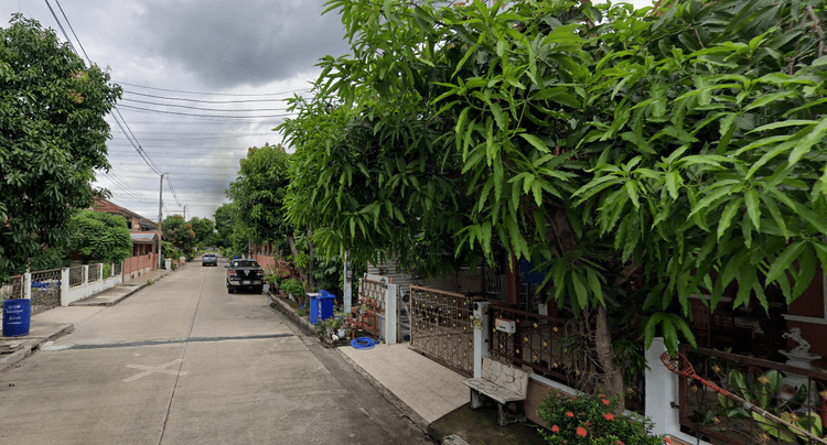 Apinya Lamlukka main view