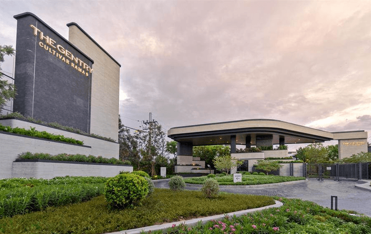 The Gentry Cultivar Rama 9 main view