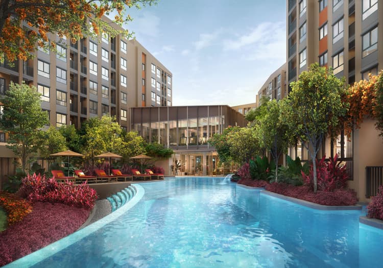 Dcondo Cove main view