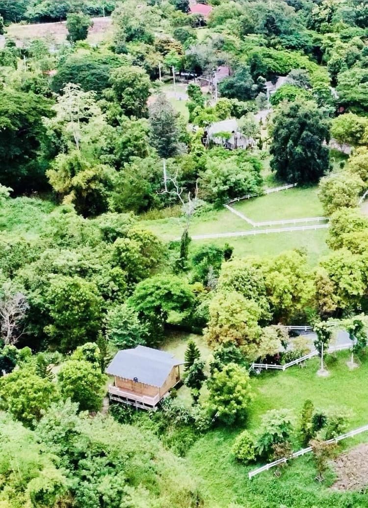 Water Wheel Park main view