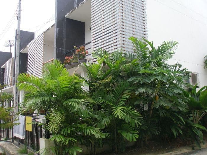 Topland Rawai main view