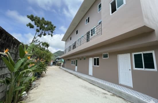 Bird of Paradise Kamala main view