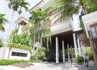 The Chava main image