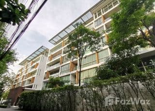 Ficus Lane main image