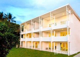 ภาพหลักของ โคโค่นัท เบย์