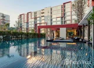 D condo Kathu-Patong main image