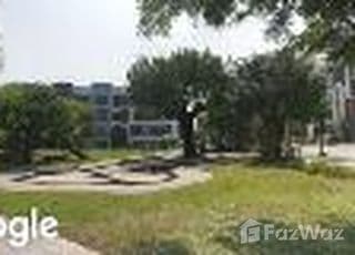 Pong Yang Vingt Chiang Mai main image