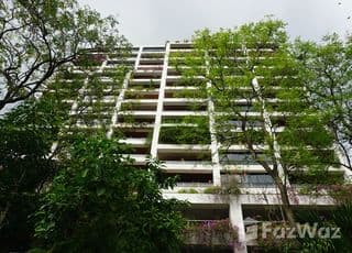 Polo Park main image