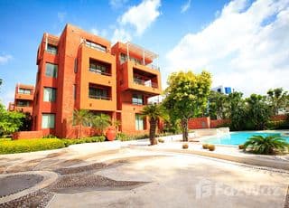 Las Tortugas Hua Hin main image