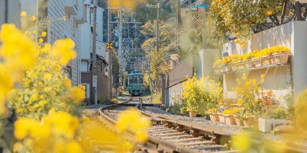 Second Home อสังหาฯ บ้านและคอนโด  background image