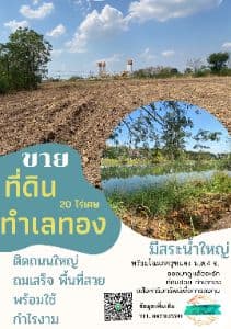 Itsaree Lueangsaard background image