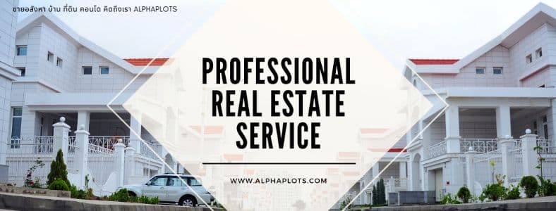  ALPHA ESTATE SERVICES background image