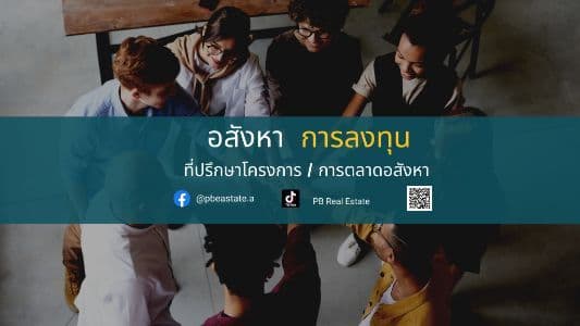 PB Real Estate Agency background image