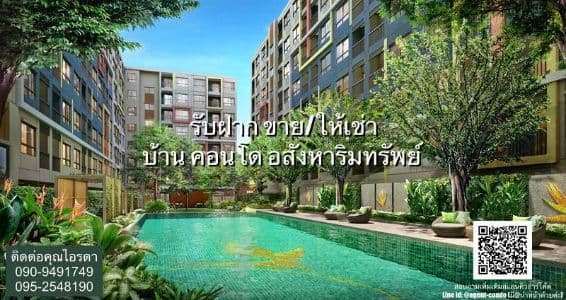 All Living Real Estate Co., Ltd background image