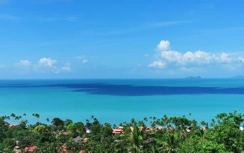 Bohemia Rei Thailand background image