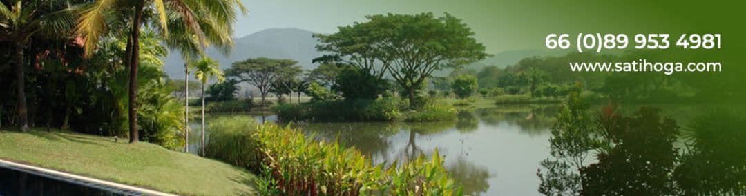 Satihoga-Tropical Homes Chiang Mai Real Estate background image