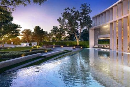 Rose background image