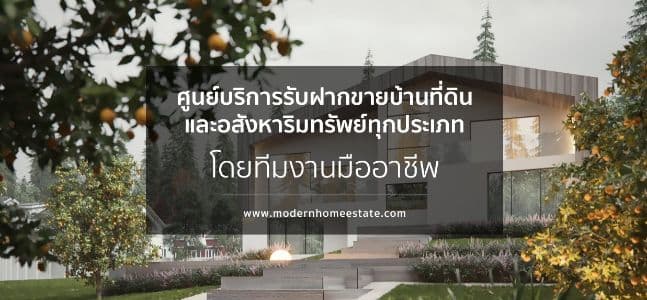 Modern Home Estate Co.,LTD.  background image