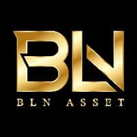 BLN ASSET logo