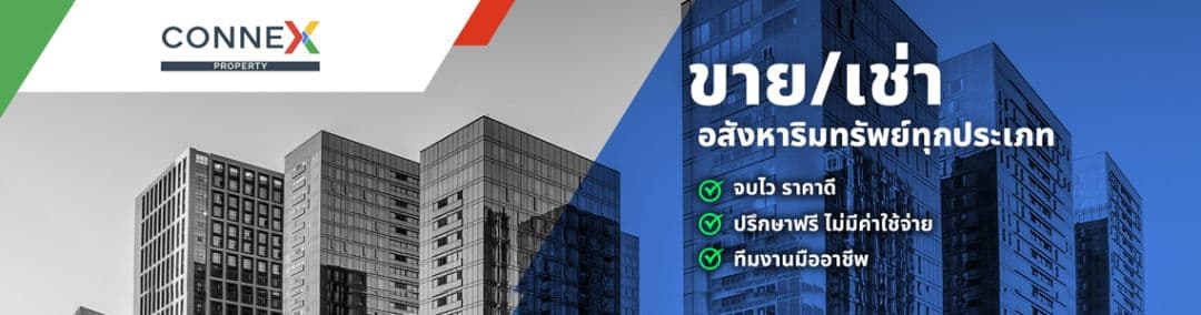 Connex Property background image