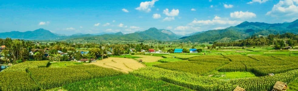 Properties Chiang Mai  background image