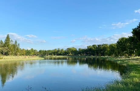 BAAN NAI FAN background image