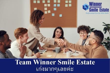 บริษัท  วินเนอร์ สมายล์ เอสเตท จำกัด background image