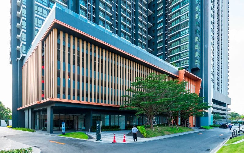 Project Name The Tree Rio Bang-Aor