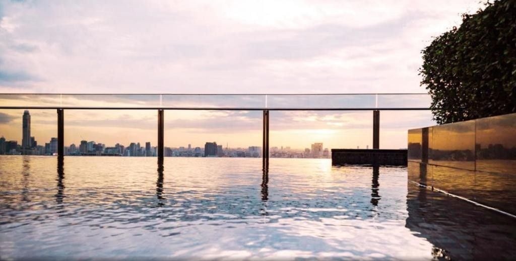 Project Name Ivy Ampio