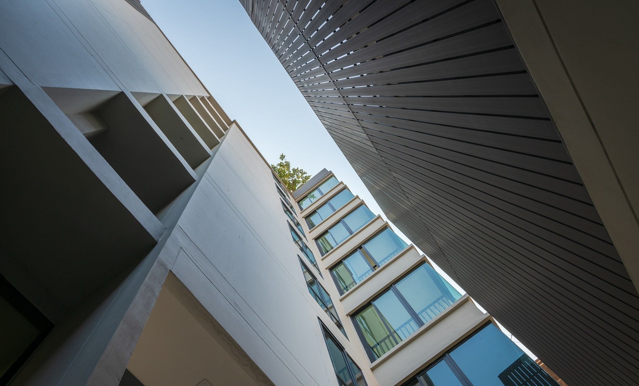 Project Name Maestro 12