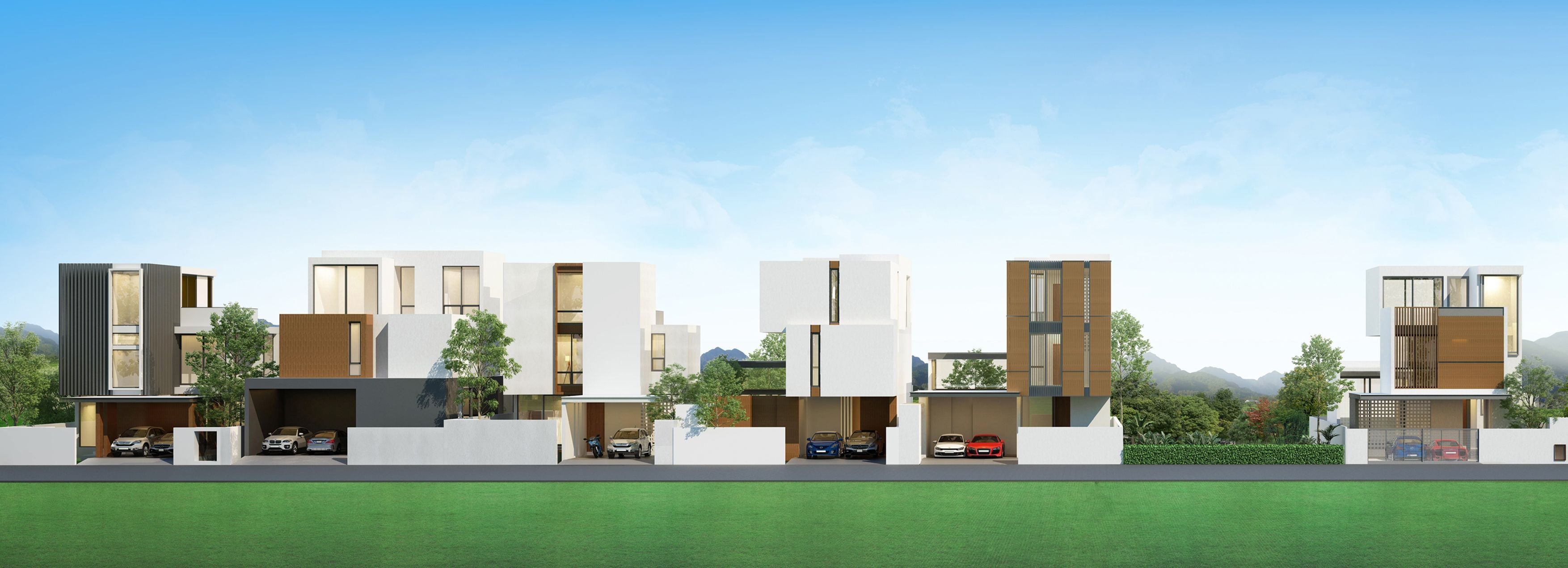 Project Name Terra da Luz