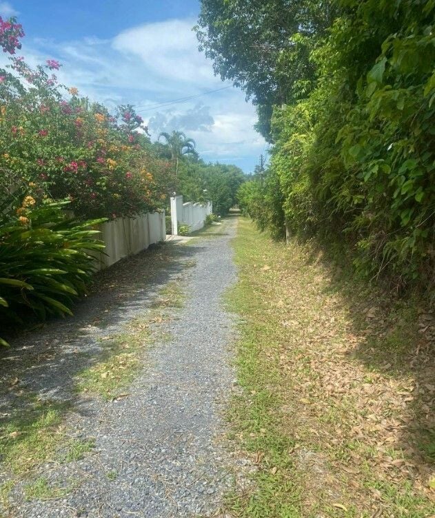 Project Name Land Plot Tala in Rawai