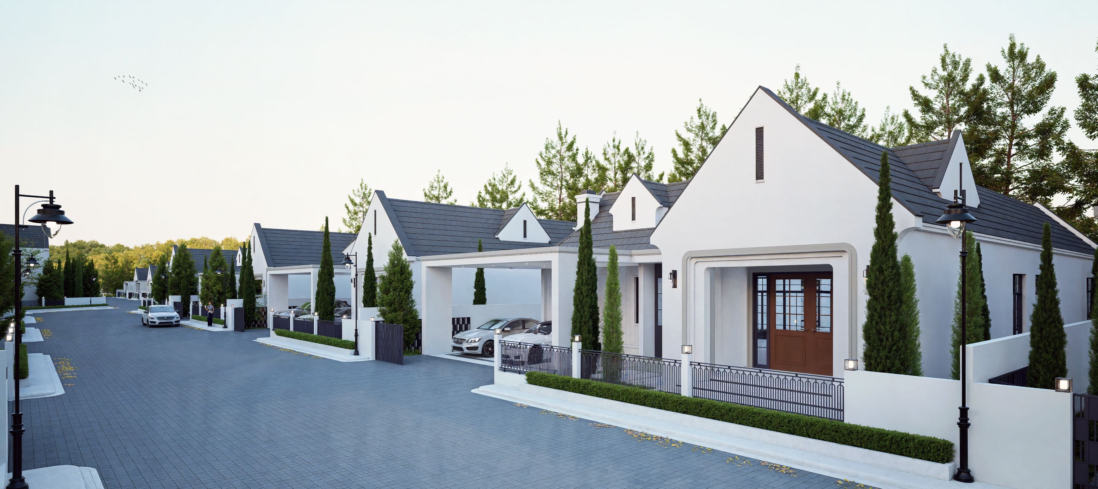 Project Name Araya Valley