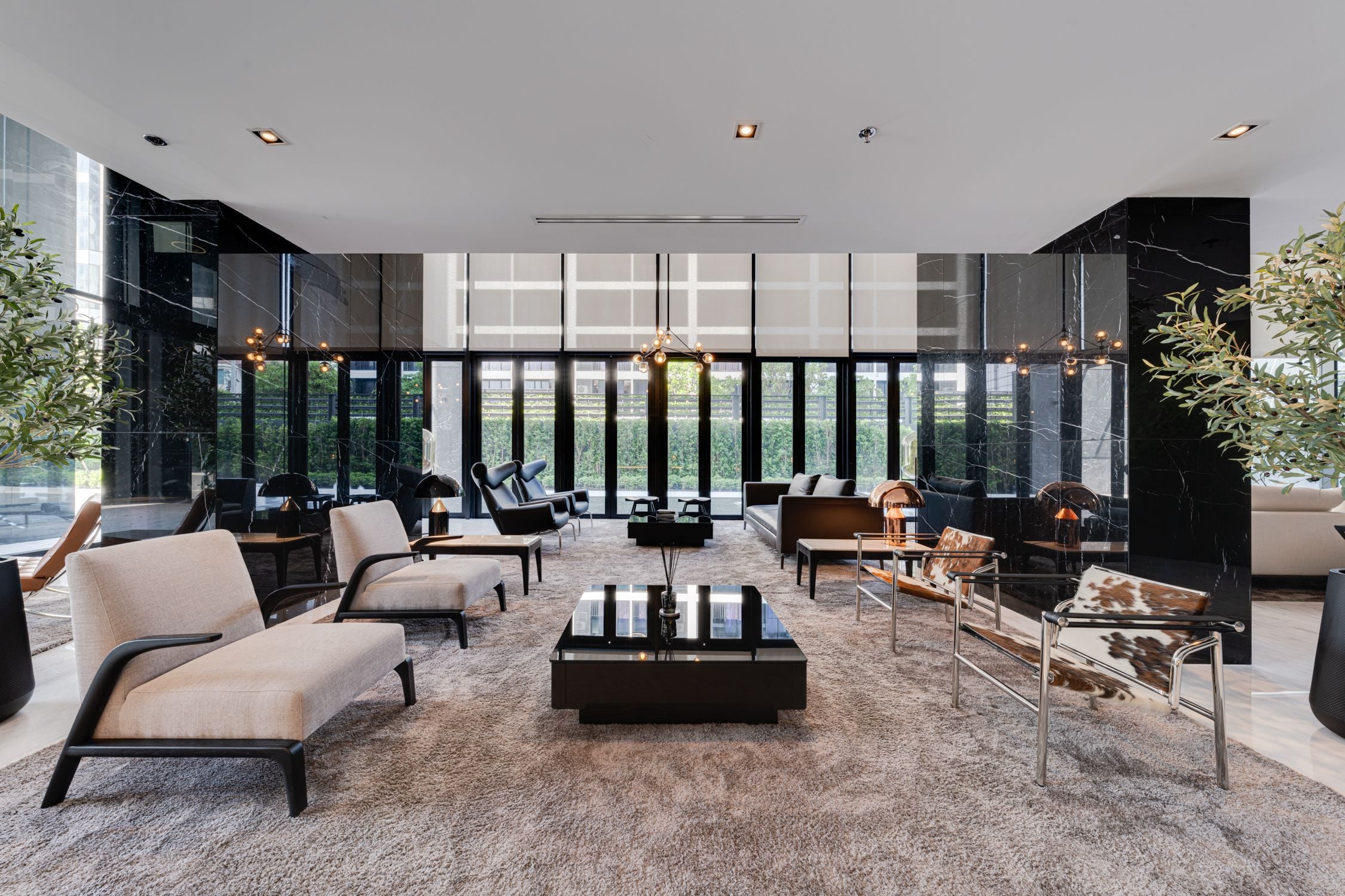 Project Name Noble Around Ari