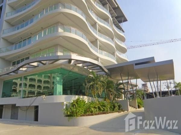 Project Name Tropical Dream