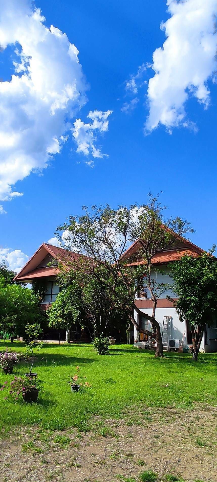 Project Name Chiangmai Lake Land