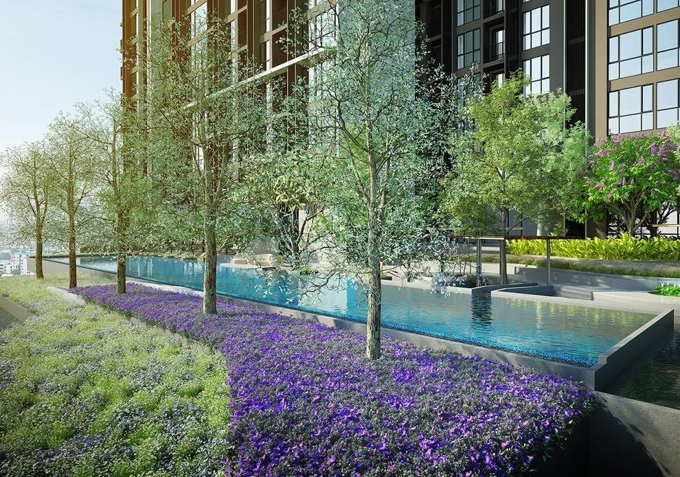 Project Name Whizdom Essence